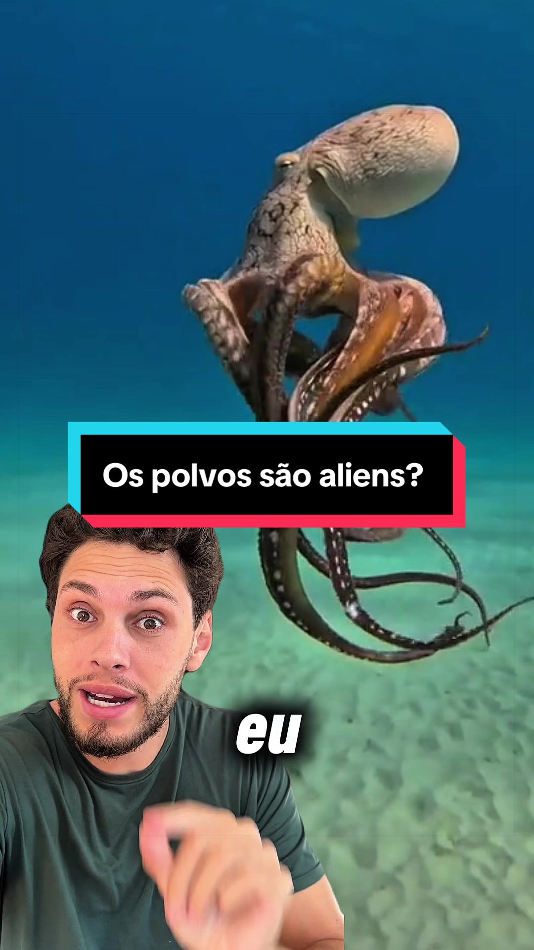 @Fercavs