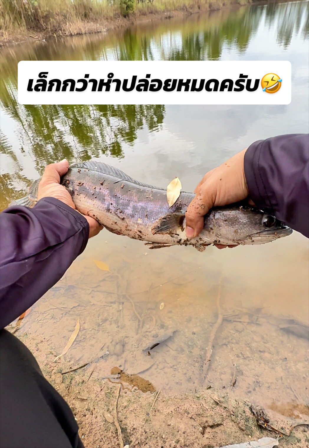 @น้ากอล์ฟ fishing ชอบแต่งรถ