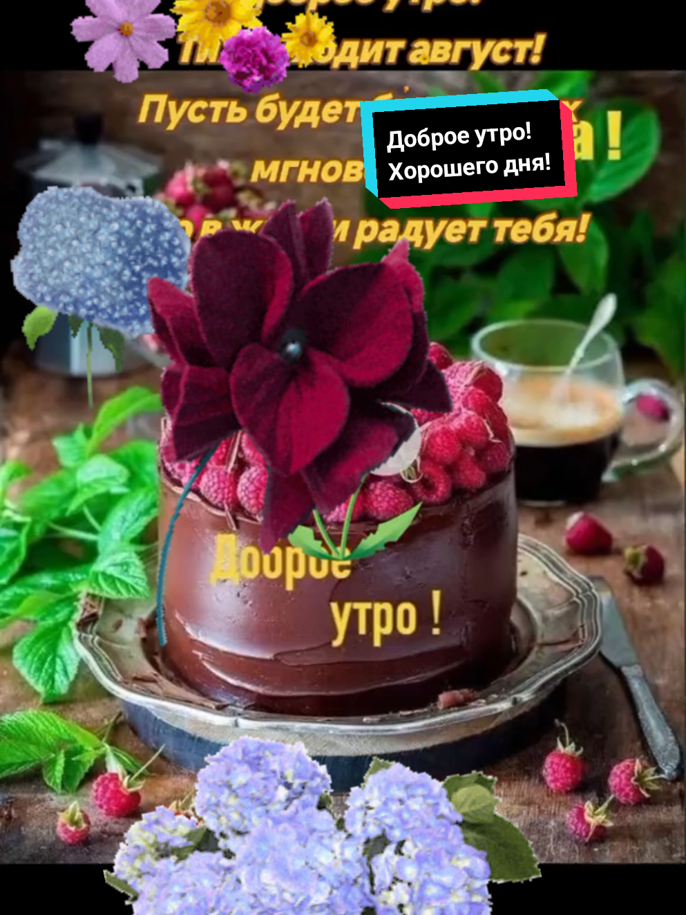 @Z.Svirgunova