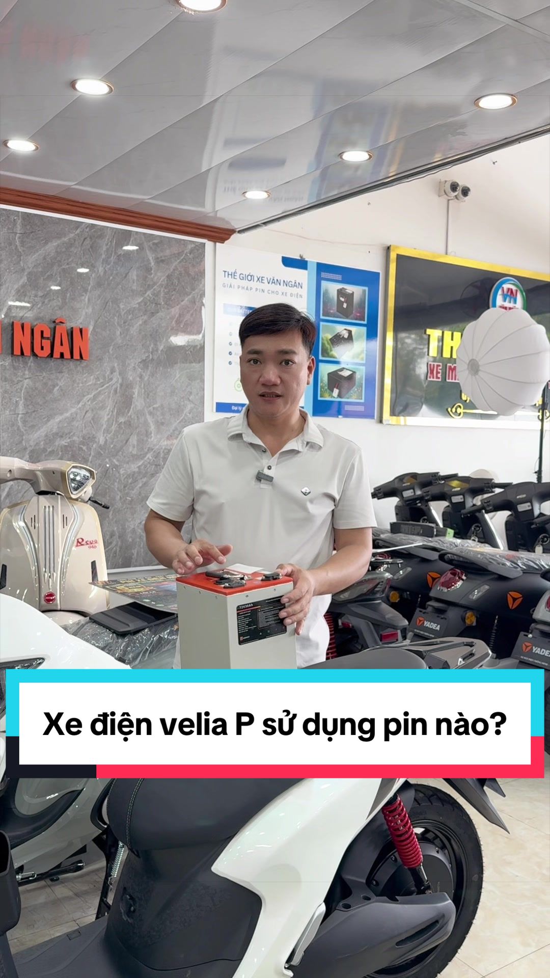 @Thế Giới Xe Văn Ngân
