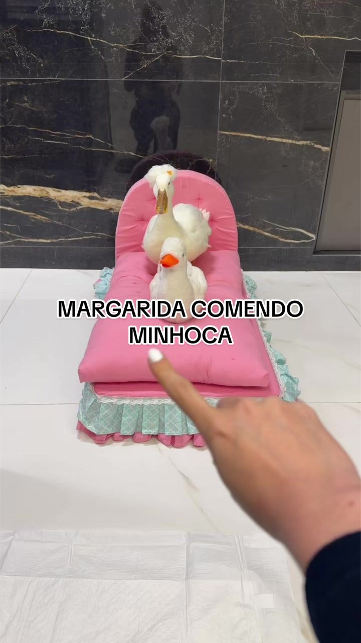@Julia Olympio