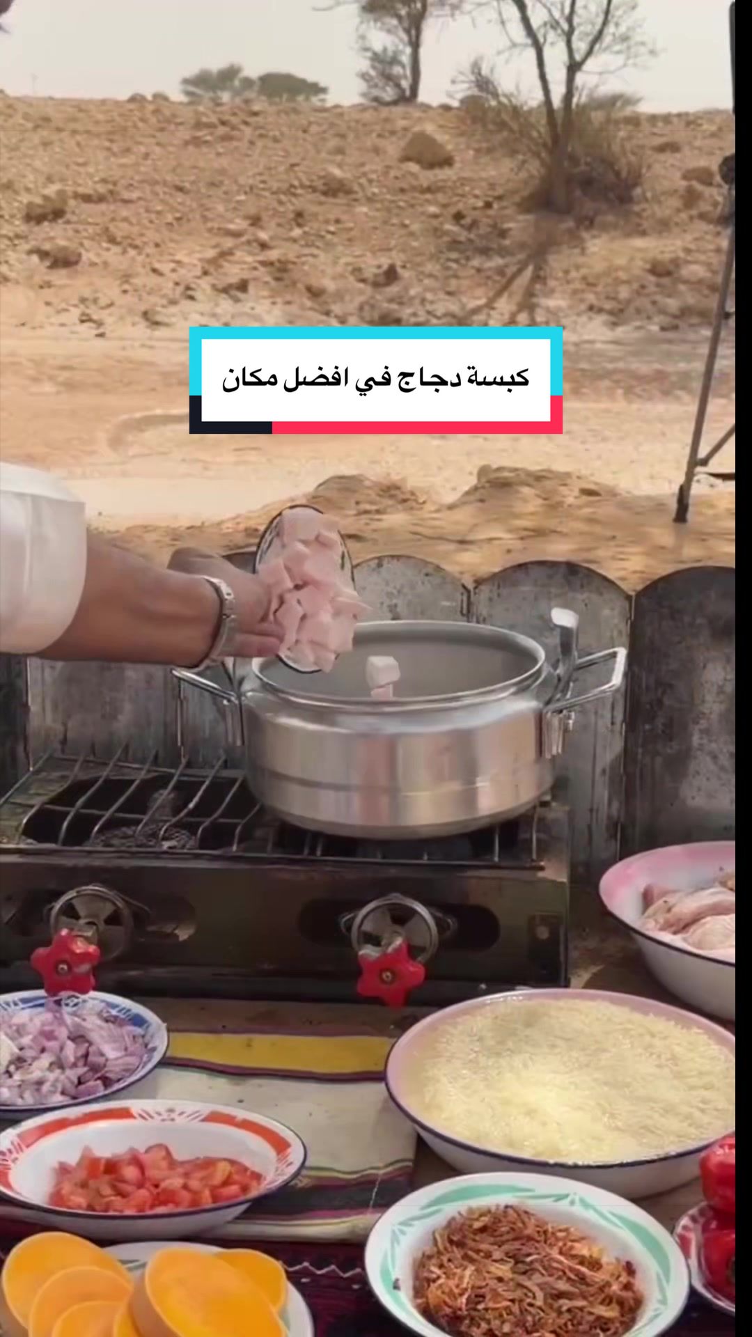 @عبدالعزيز المرشد