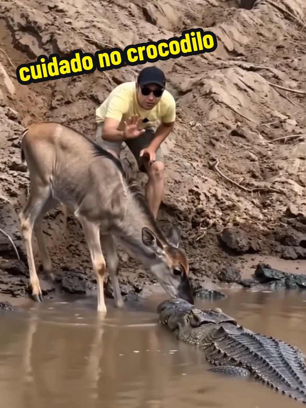 @GOROROBA 2026