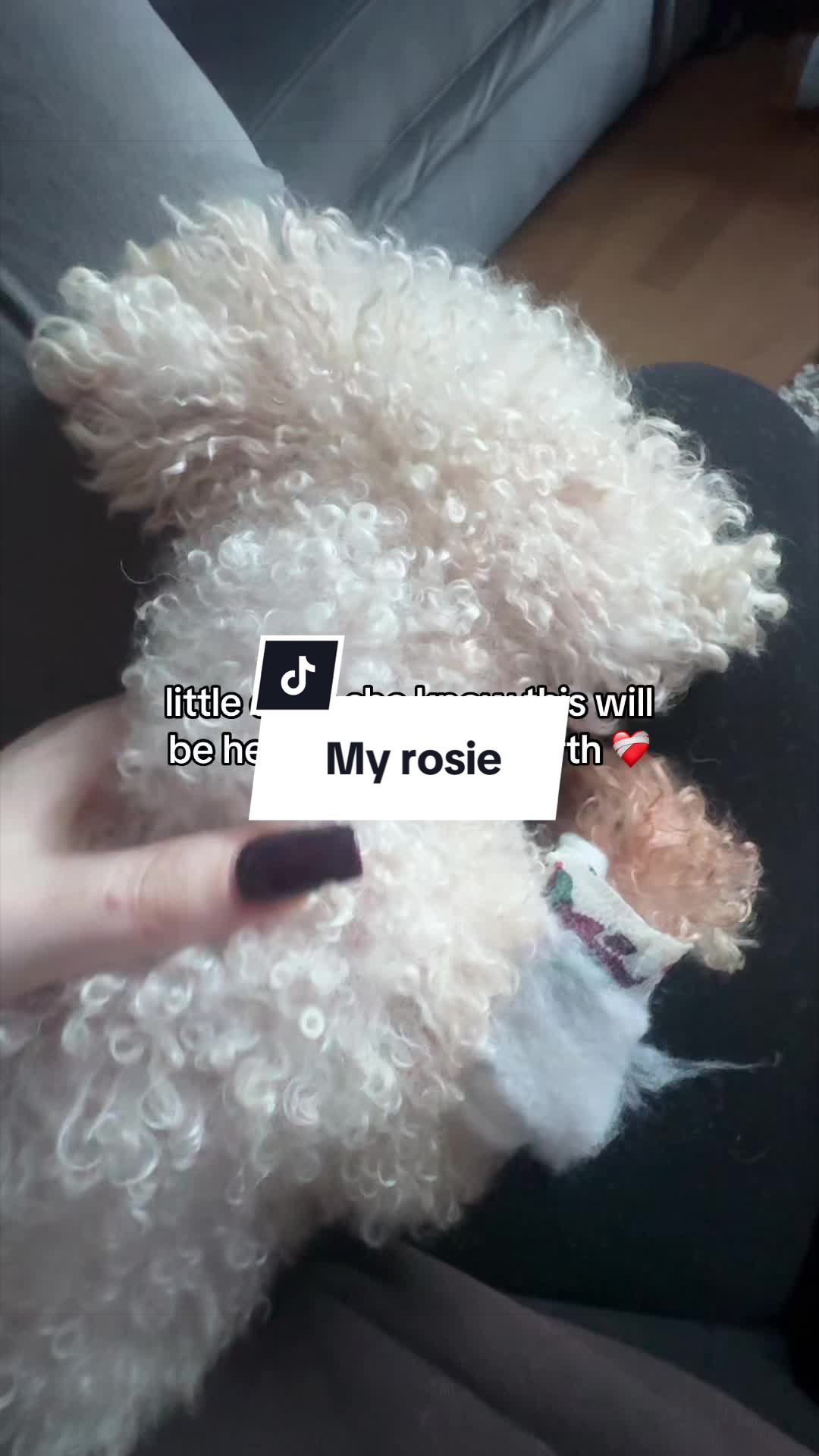 @debk