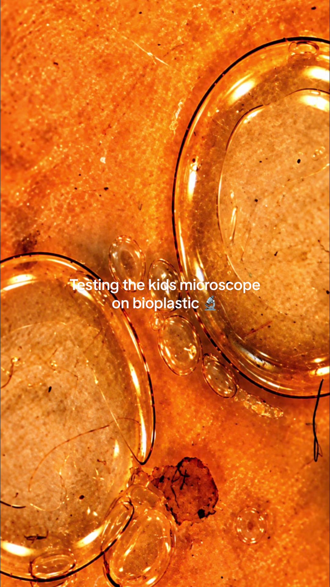 @daifein