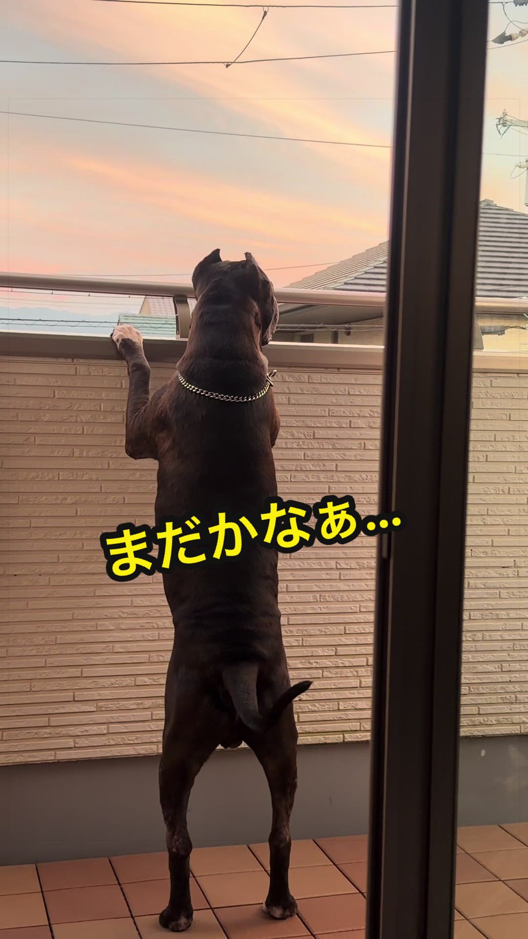@✌︎·͜·(PᗜN)·͜· ︎︎ᰔᩚ