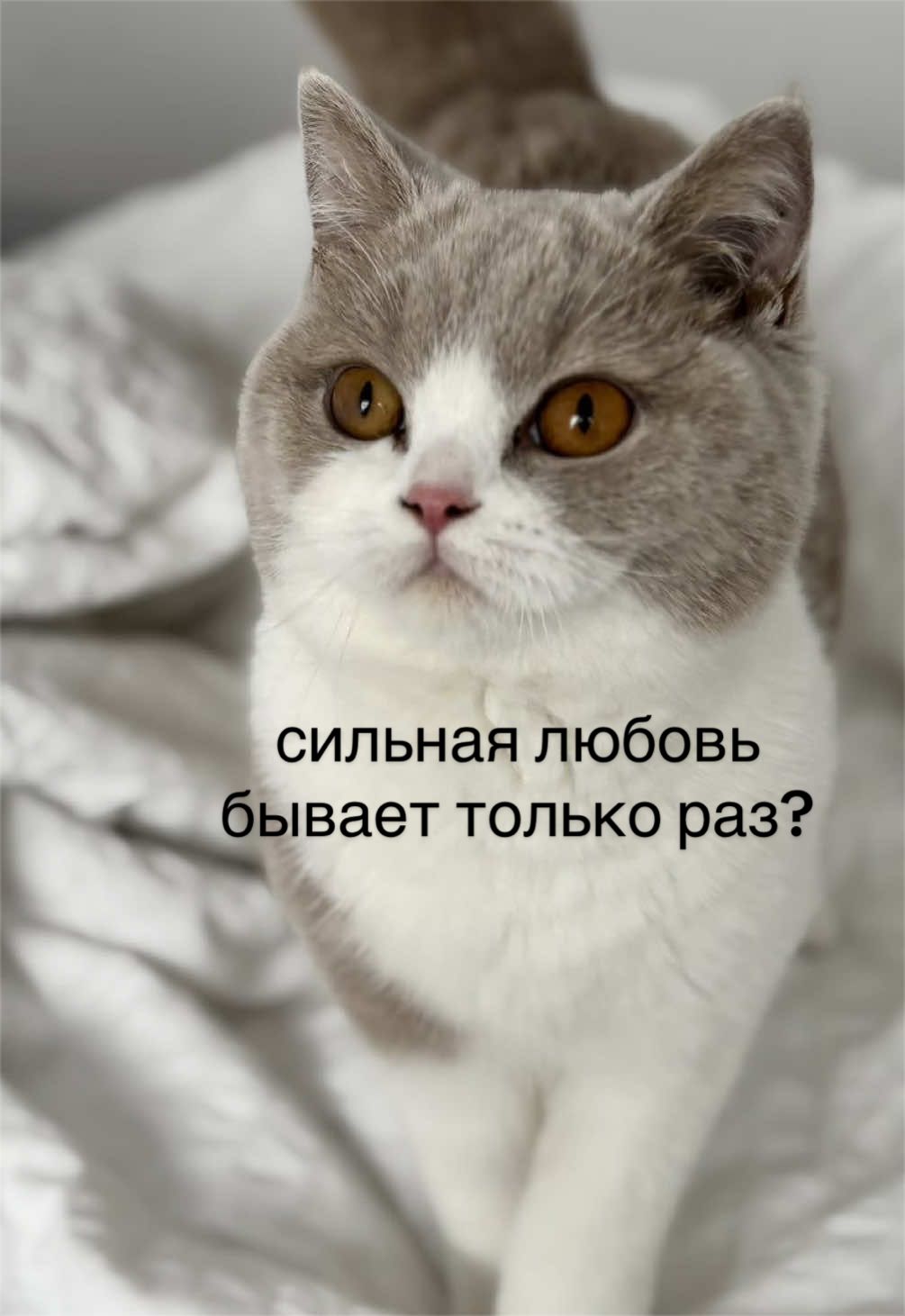@мамин хep