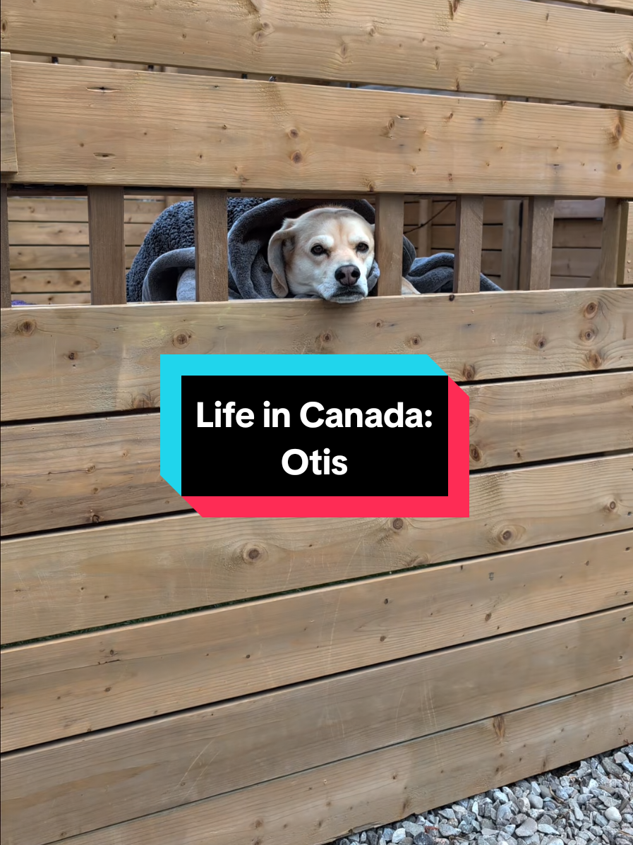 @Stephan Petar 🇨🇦