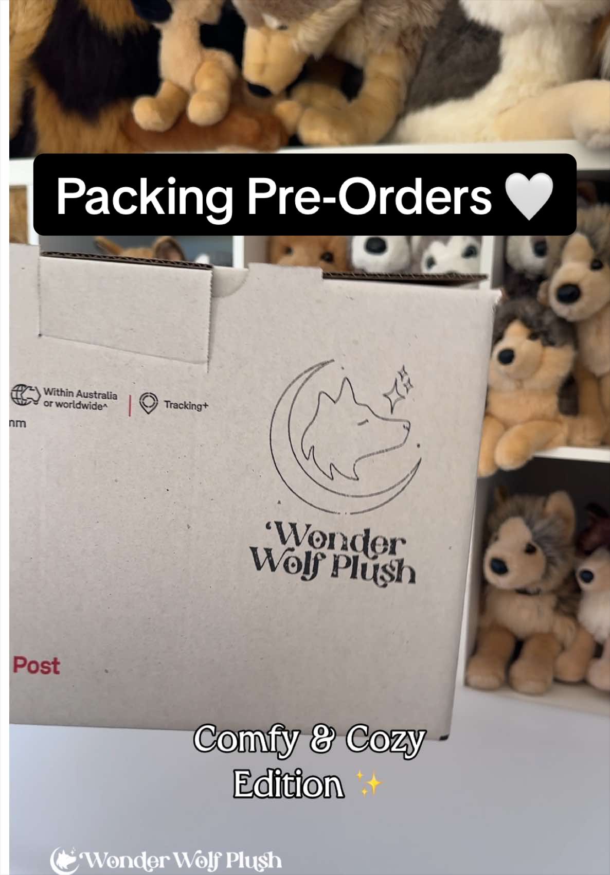 @Wonder Wolf Plush