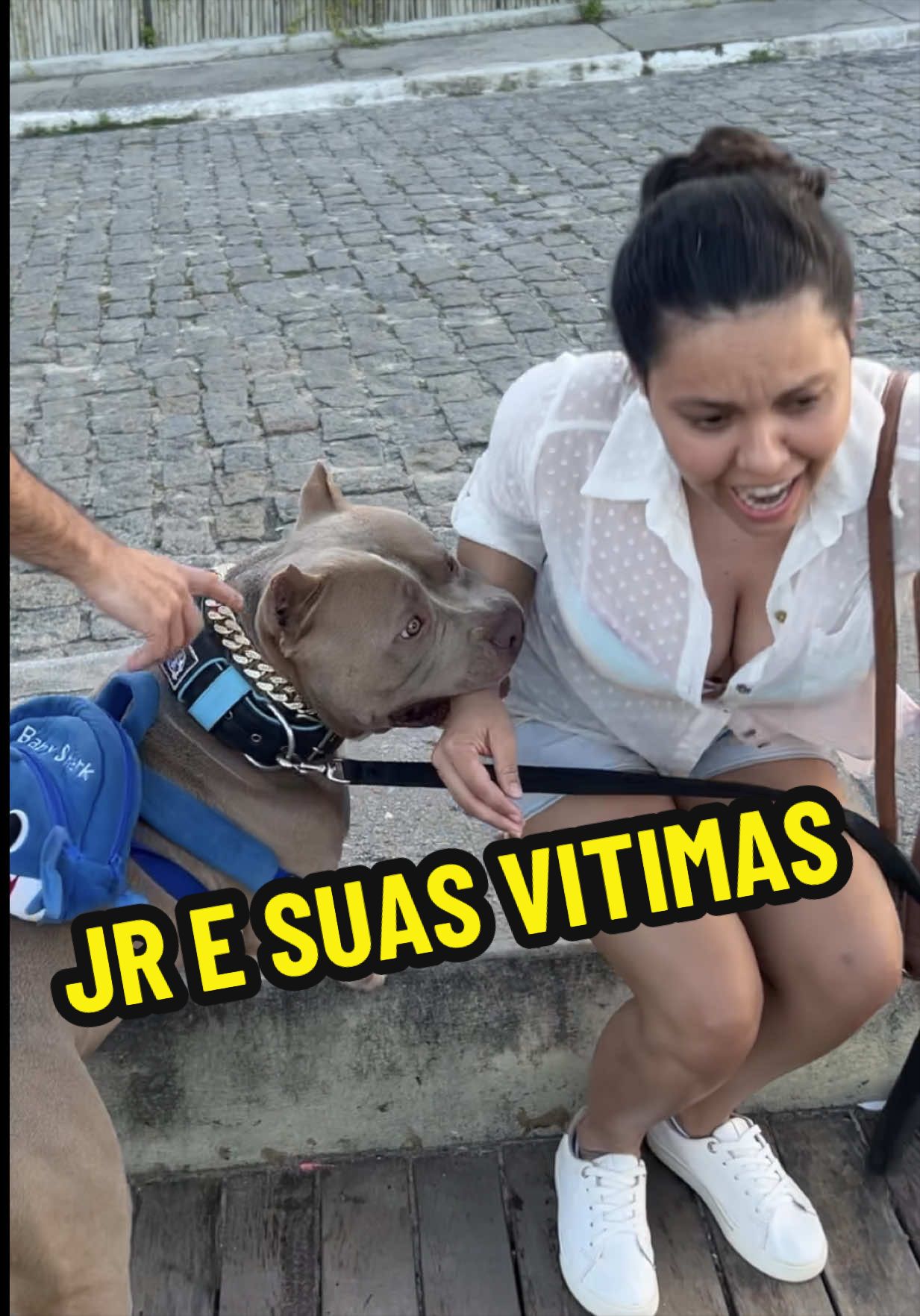 @Fam&iacute;lia Ragnar 🐶