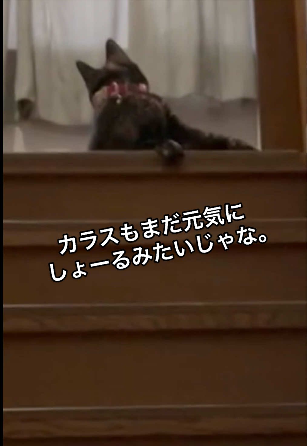 @聴々物語PROJECT