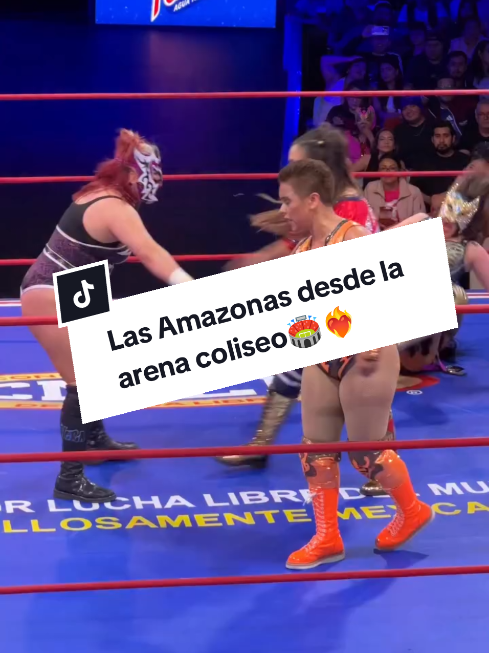 @Damas&Gladiadores Lucha Libre