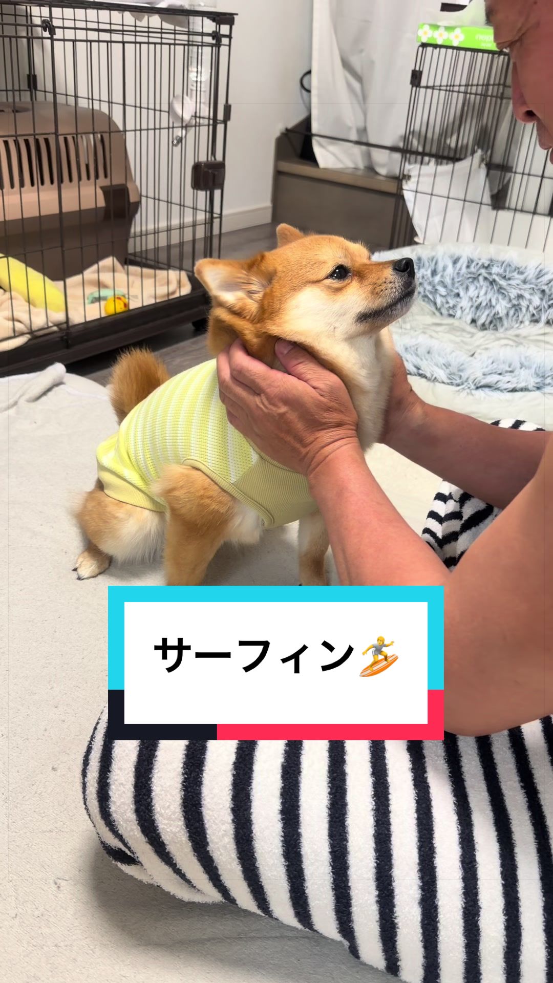@🐶とん&ぺっぺこぺー🦊