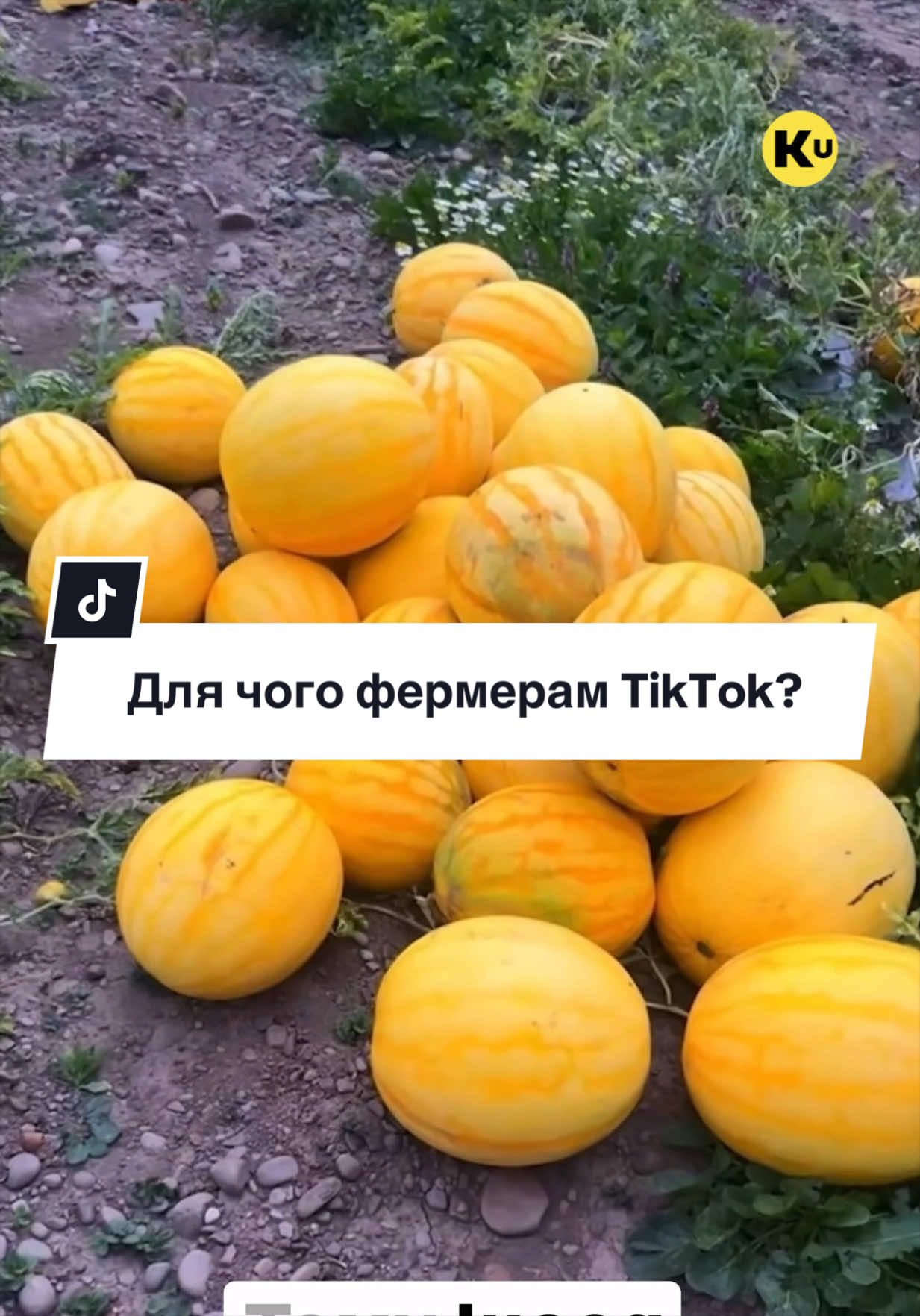 @Ku 🟨🟩 Lati – Agro Ukraine