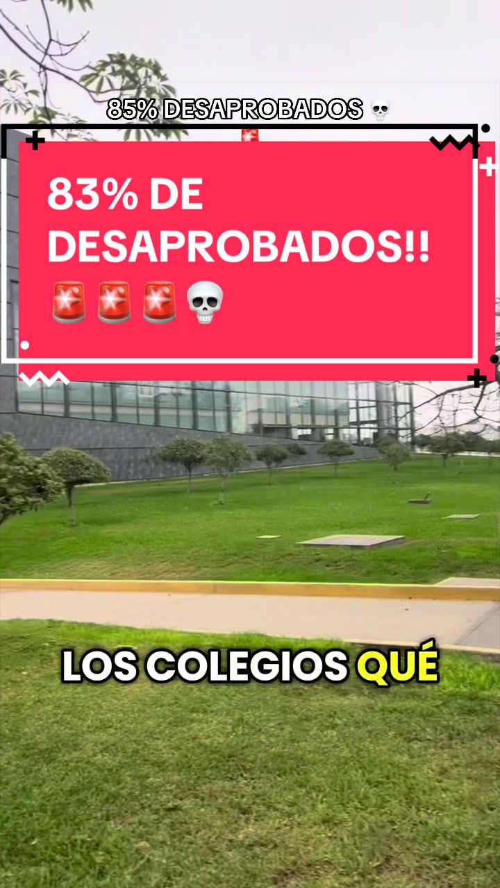 @Robin Amado