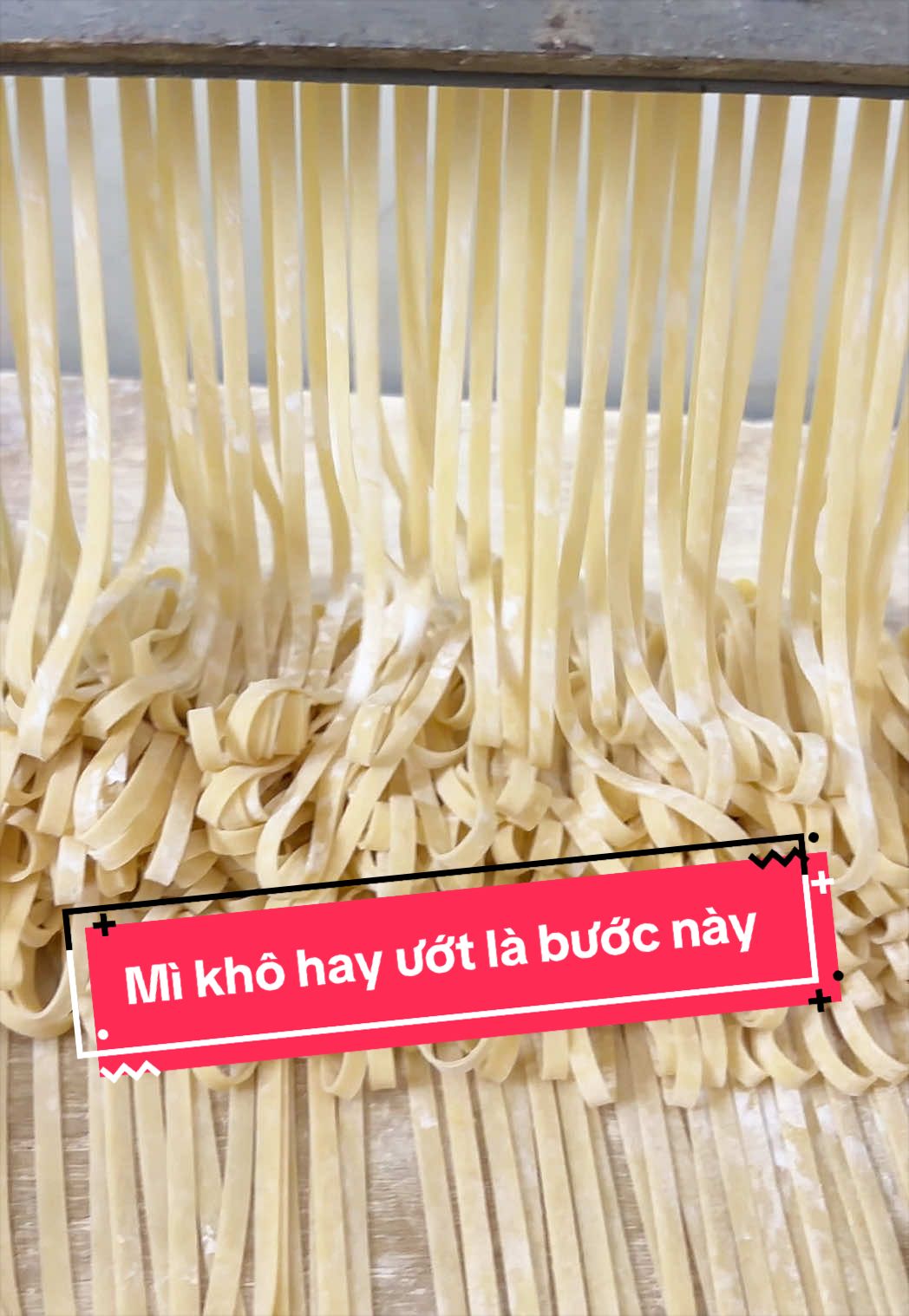 @Mì Tươi Chính Ký