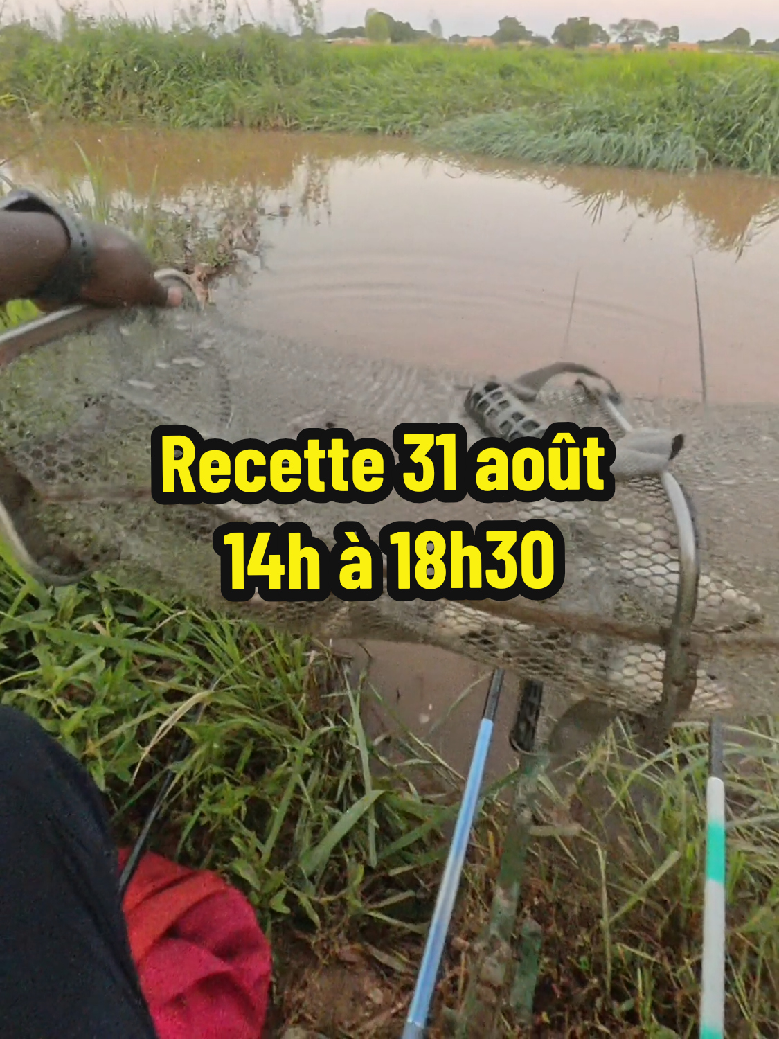 @La pêche par OGE 226