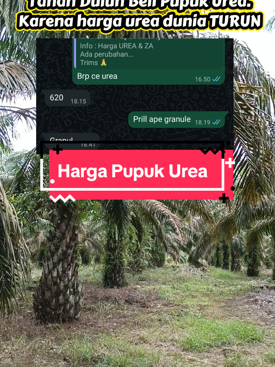 @IG Nusantara
