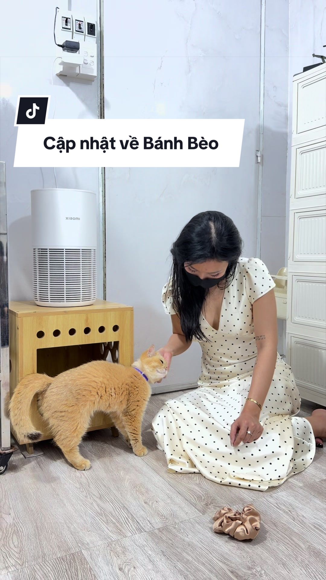 @Chang Shu Gờ