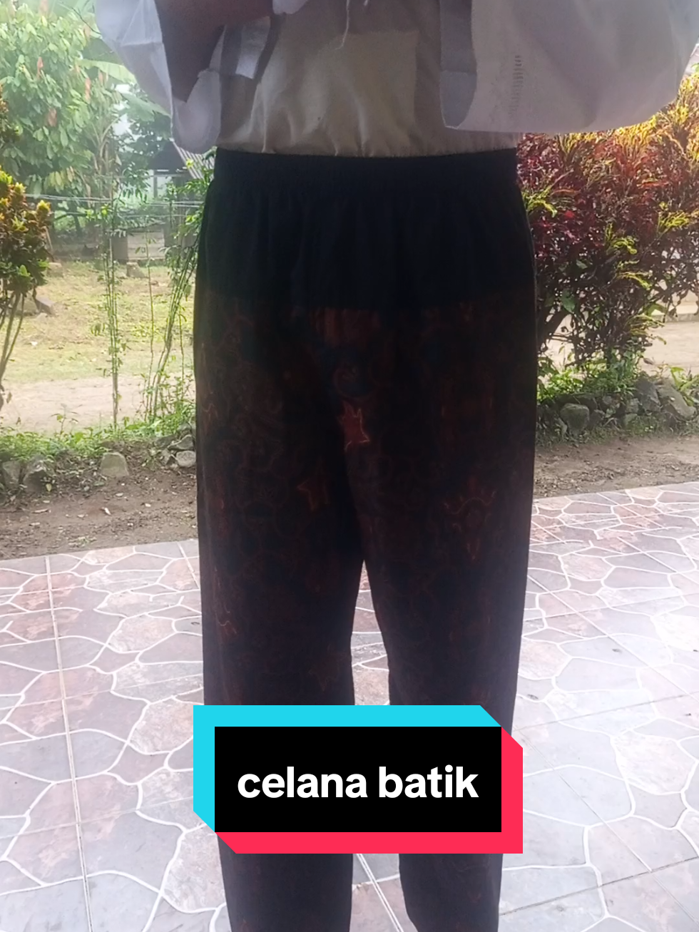 @wan 3281