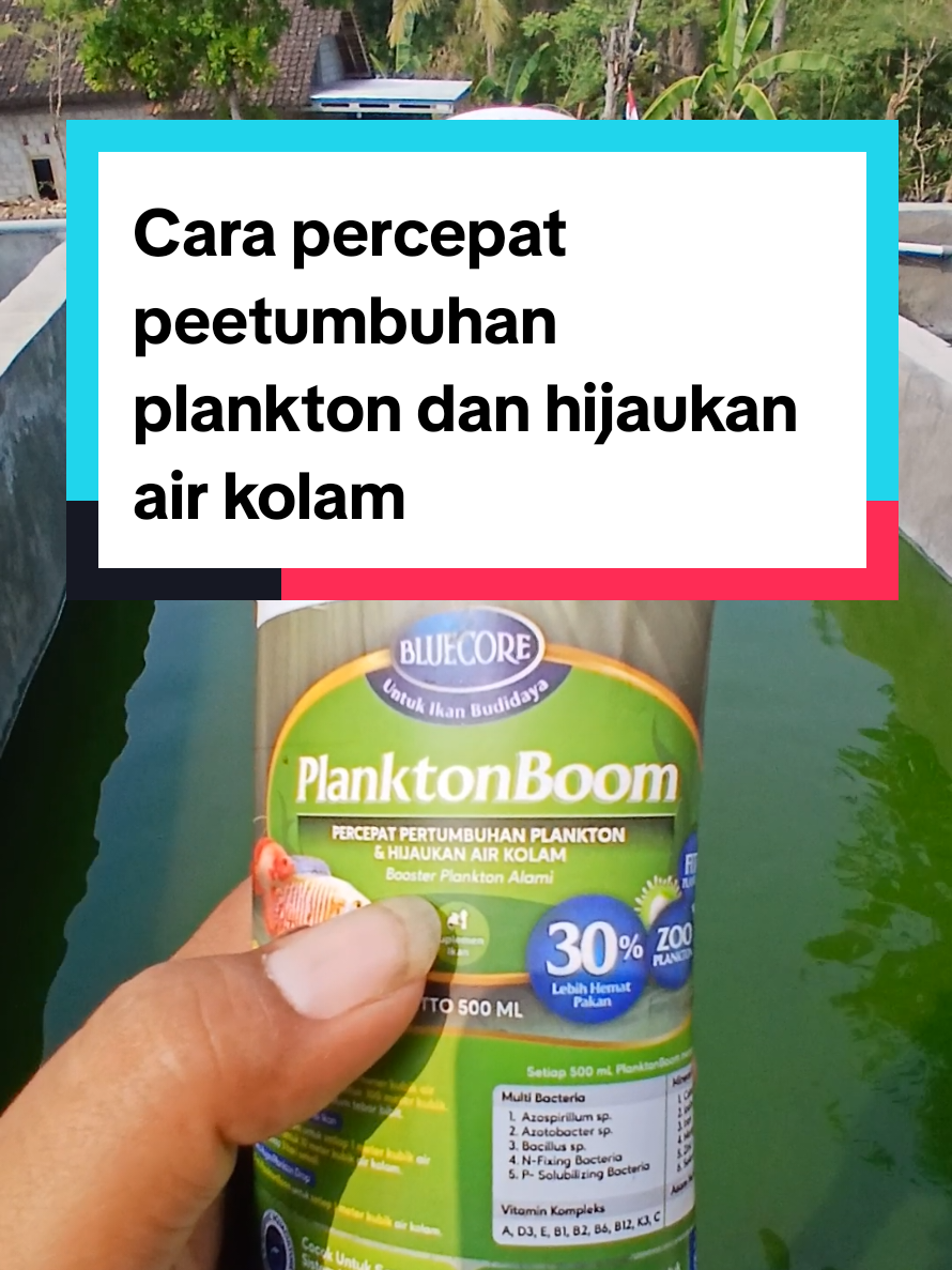 @Kang_Ewi