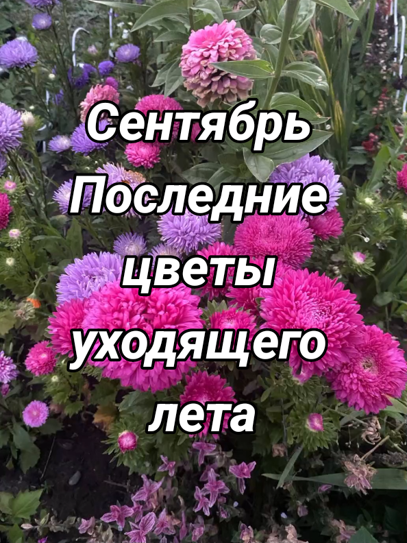 @Деревенская бабушка