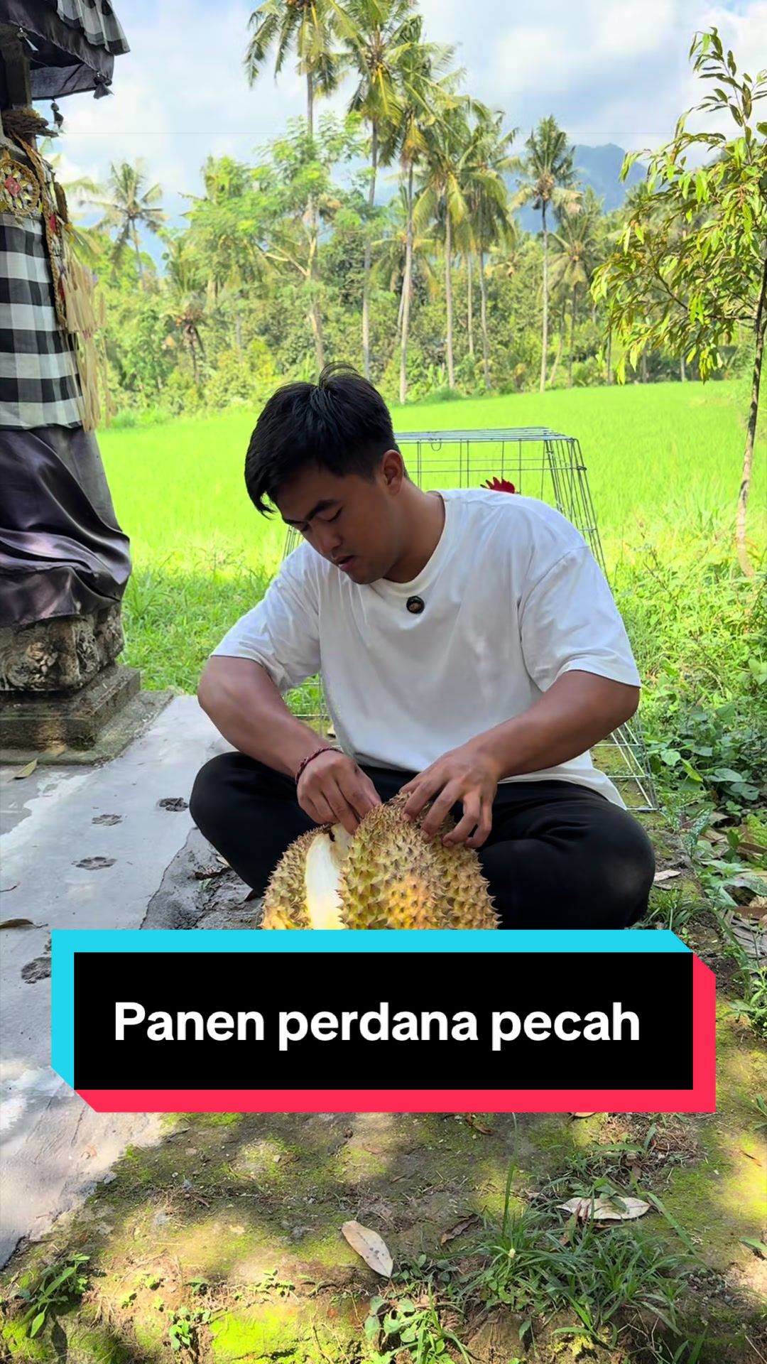 @Doni artawan