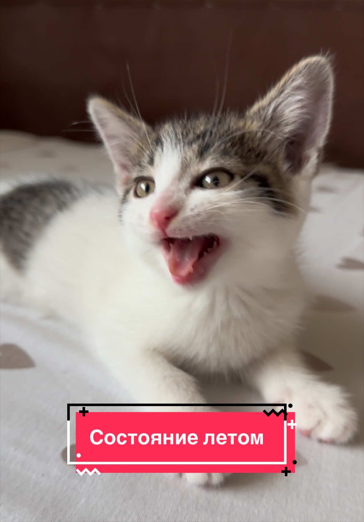 @vozmitel