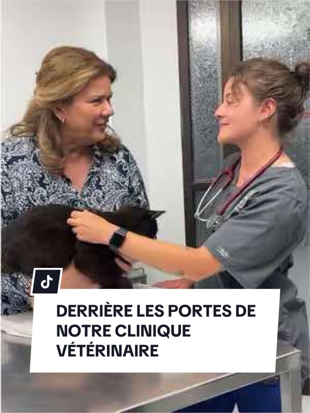 @Montreal SPCA