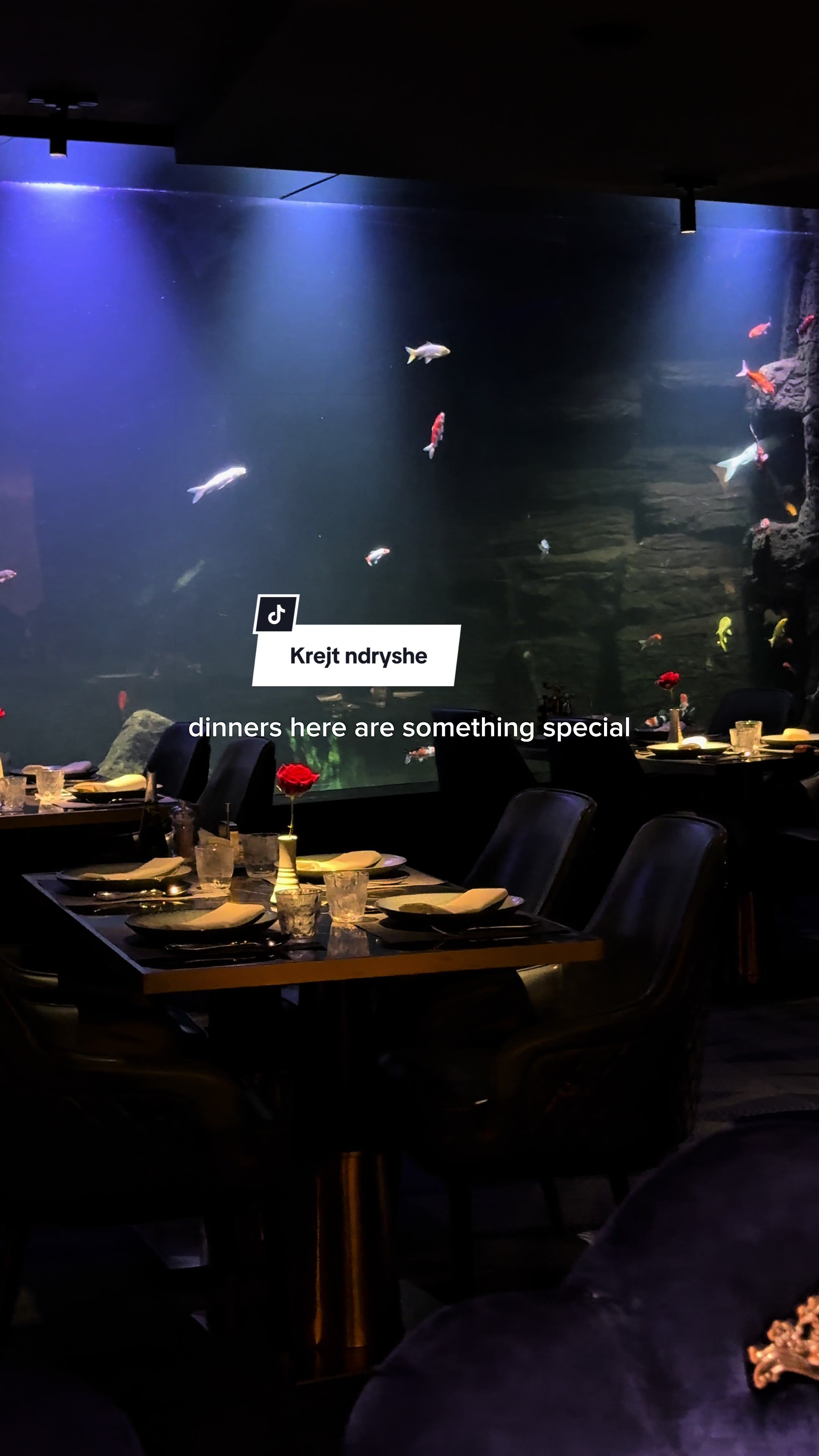@Mr Fisher Restaurant