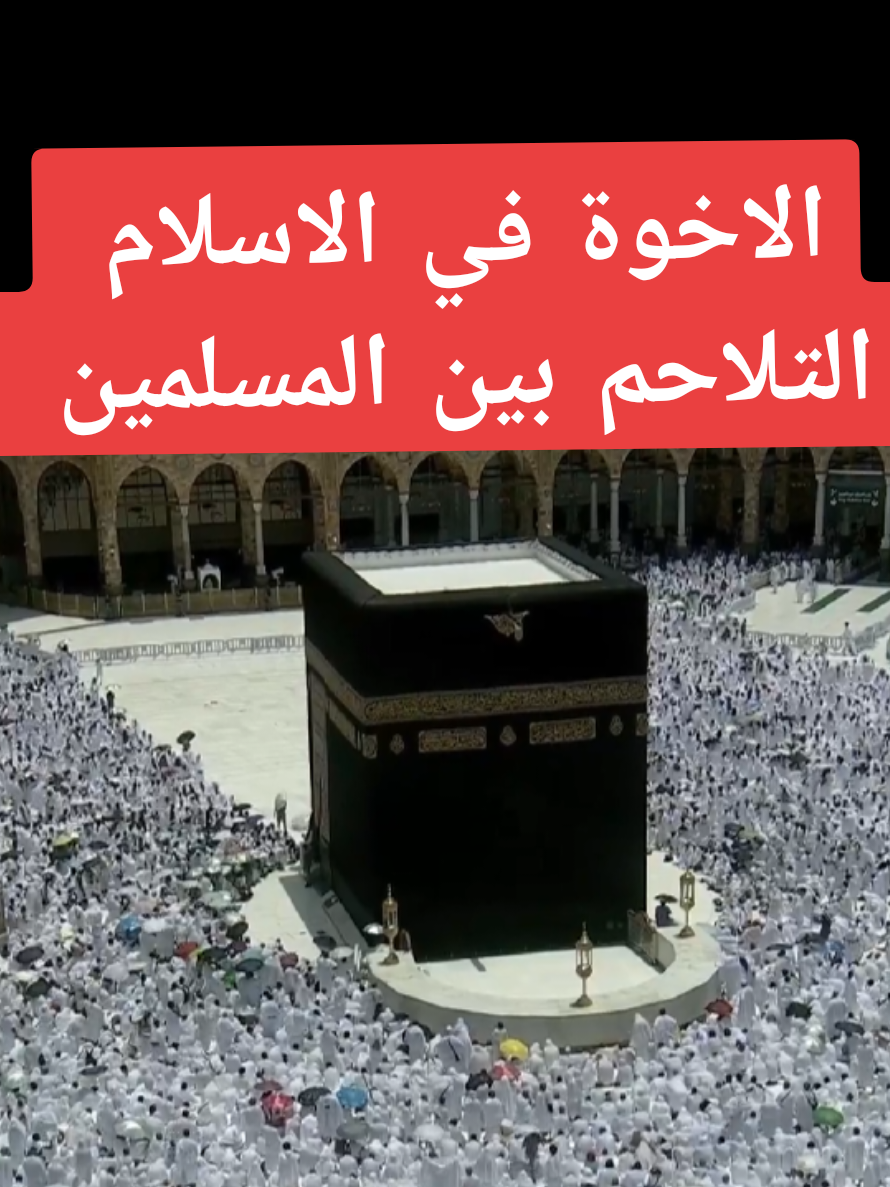 @سعود من المدينة المنورة 🛑