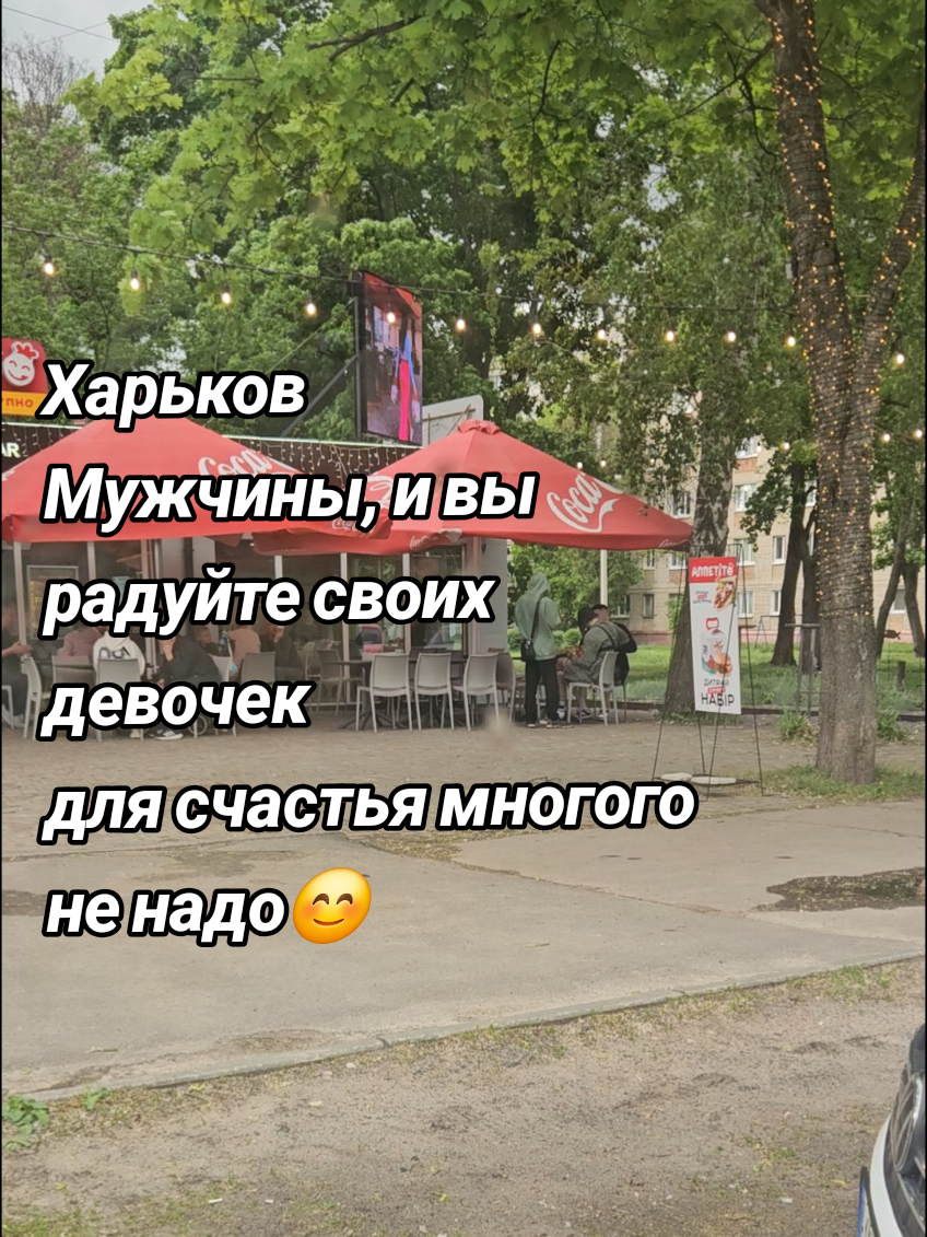 @moy_blog24