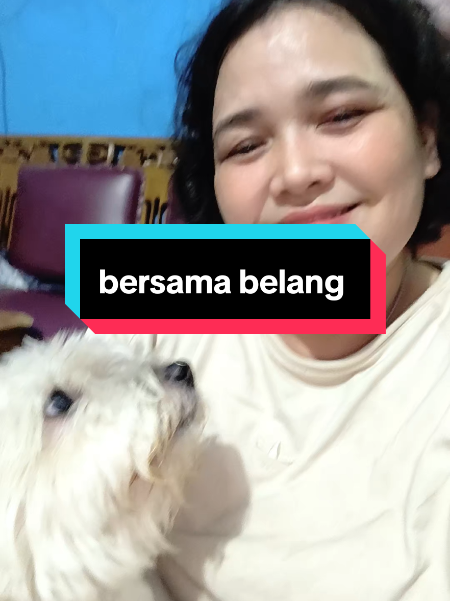 @Sarah Purnama ❤️❤️❤️