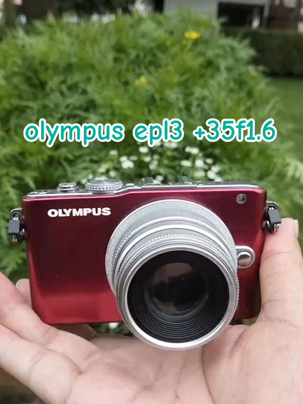 @AlphaK