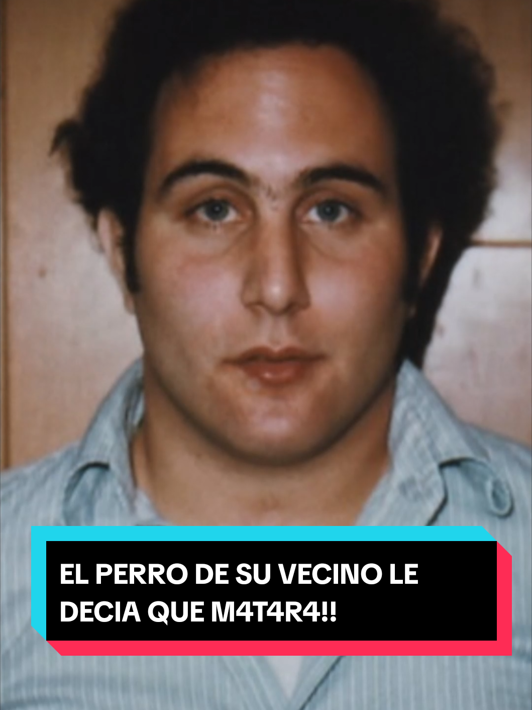 @Plumithas: Secretos y Crímenes