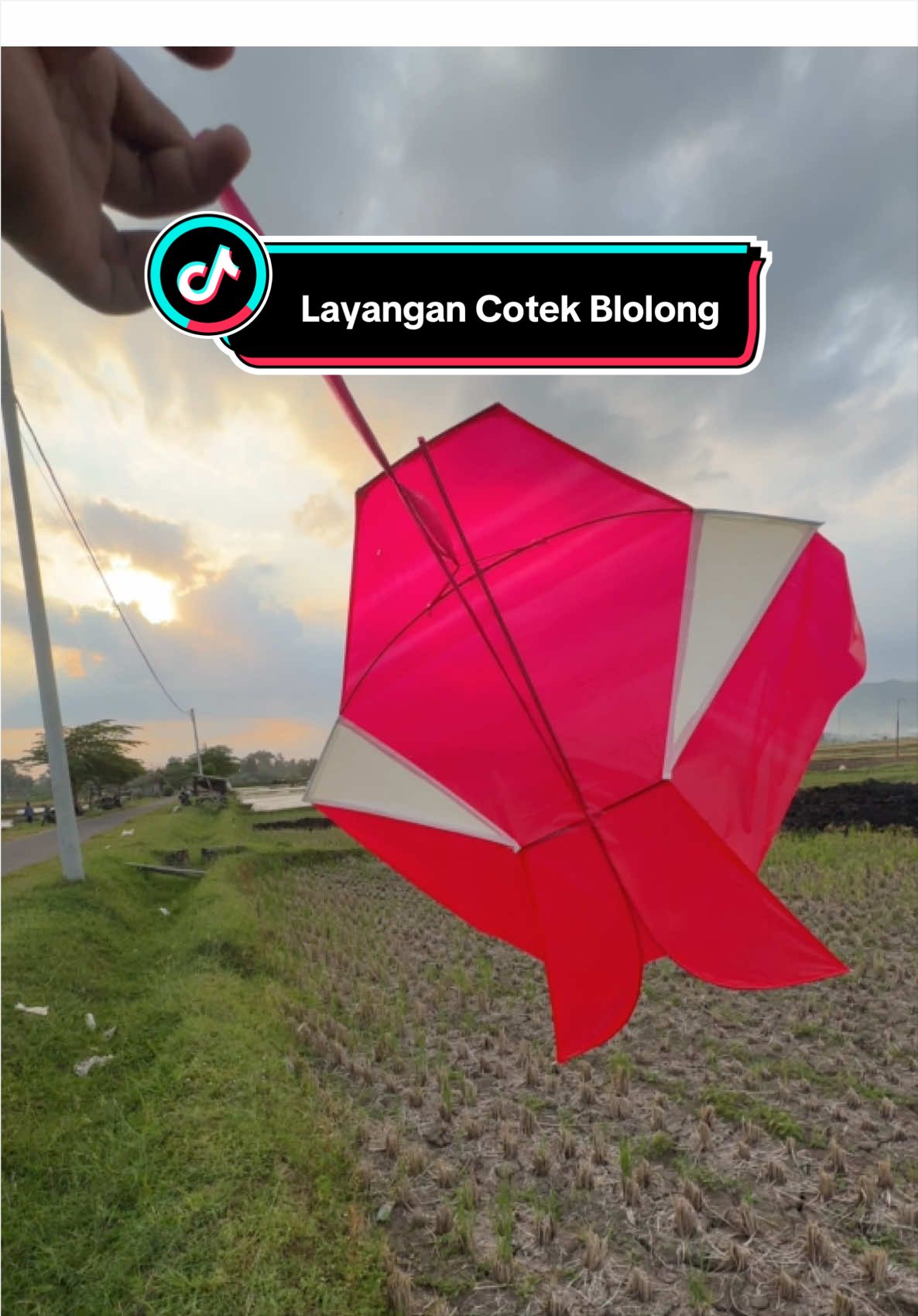 @ZAW Fhising & Kite