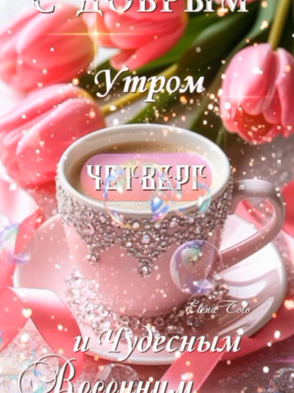 @꧁༺ 𝓔𝓵𝓮𝓷𝓪 ༻꧂