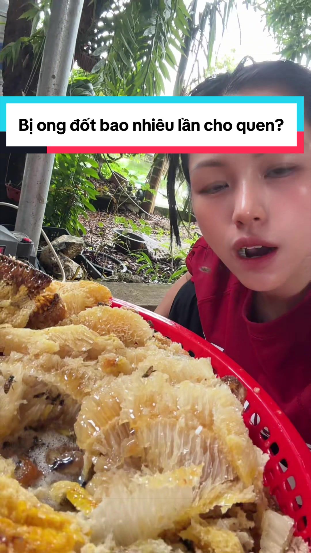 @Dung Nhây