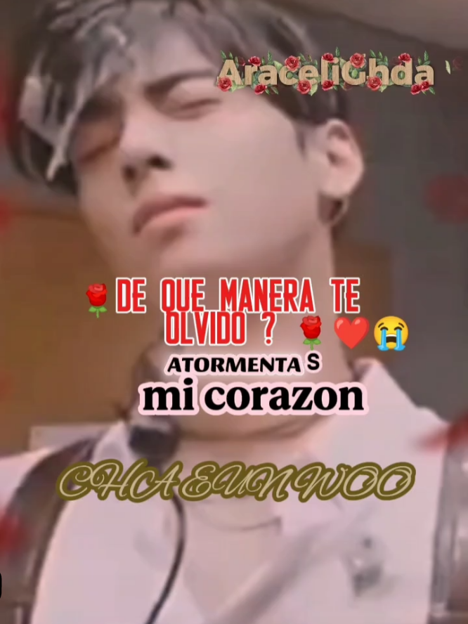 @araceli hernandez