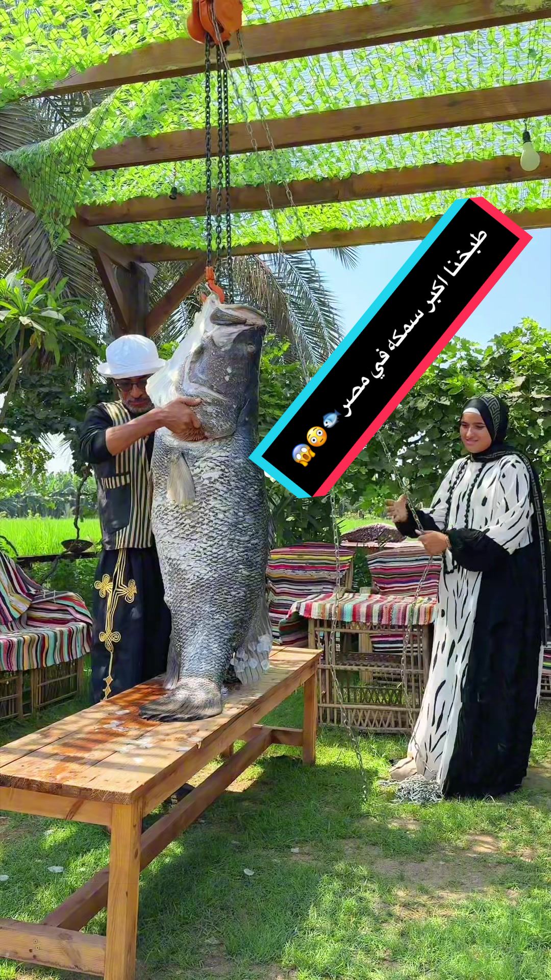 @habiba.baaqa