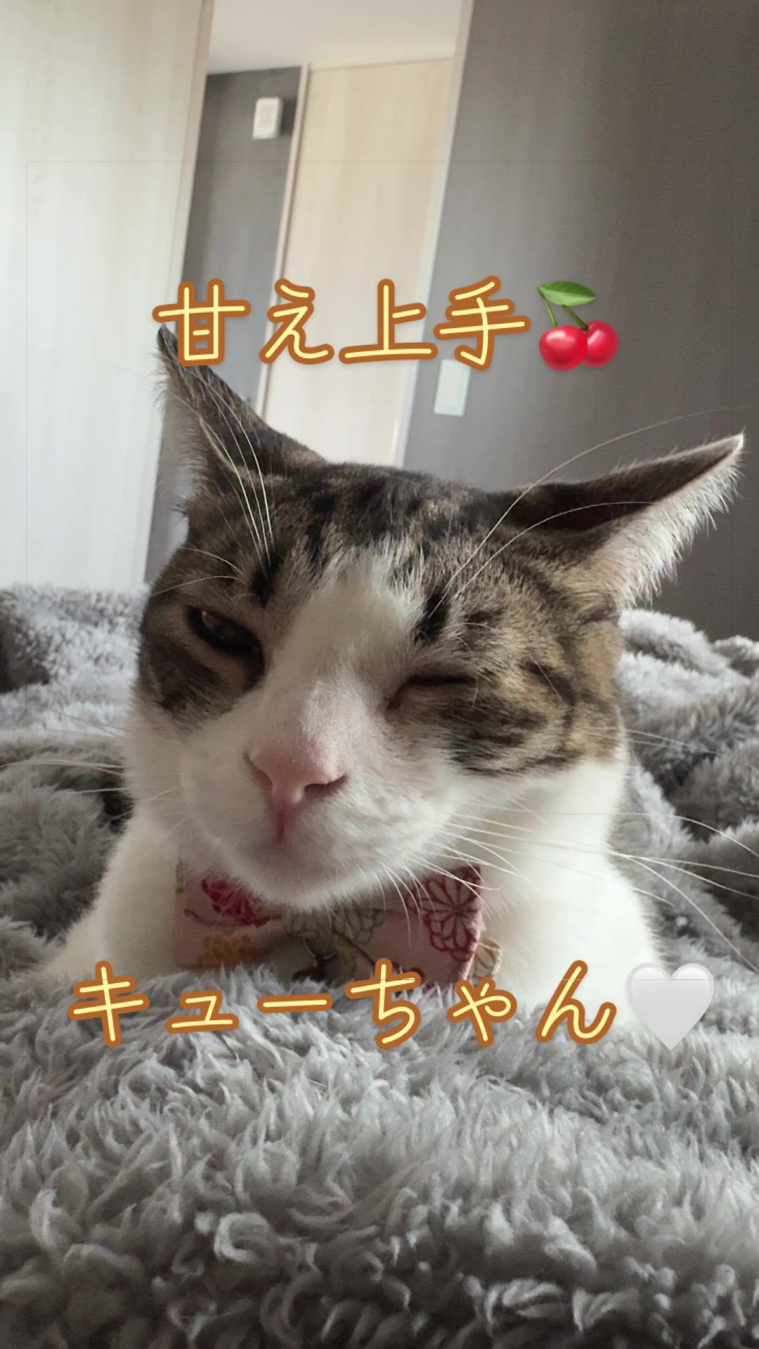 @はっぴー野郎☺︎