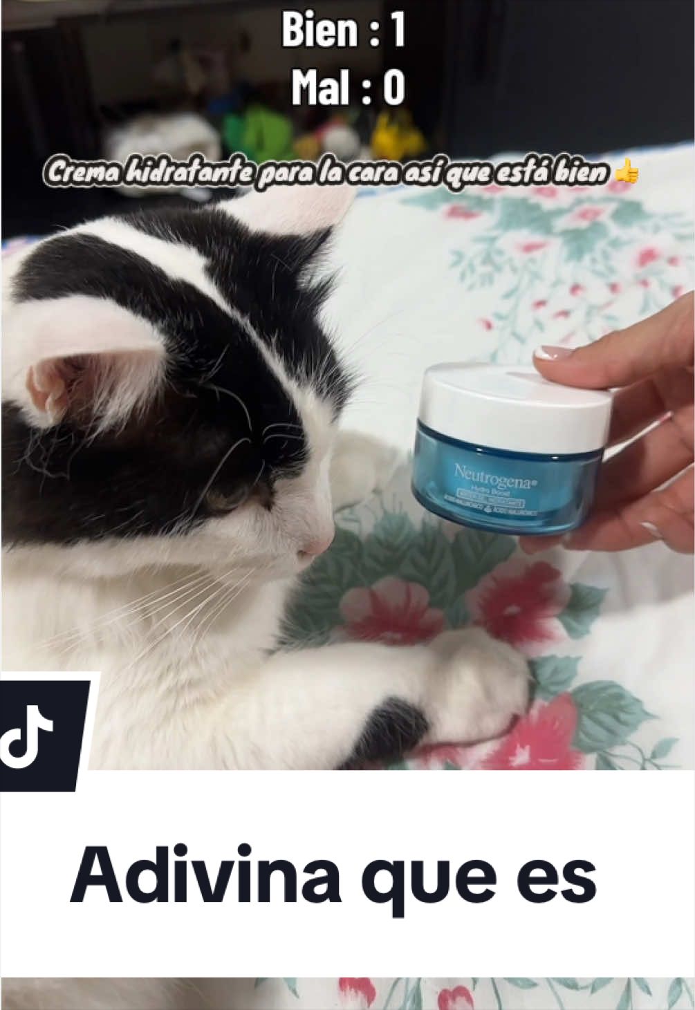 @pepe_el_gordillo