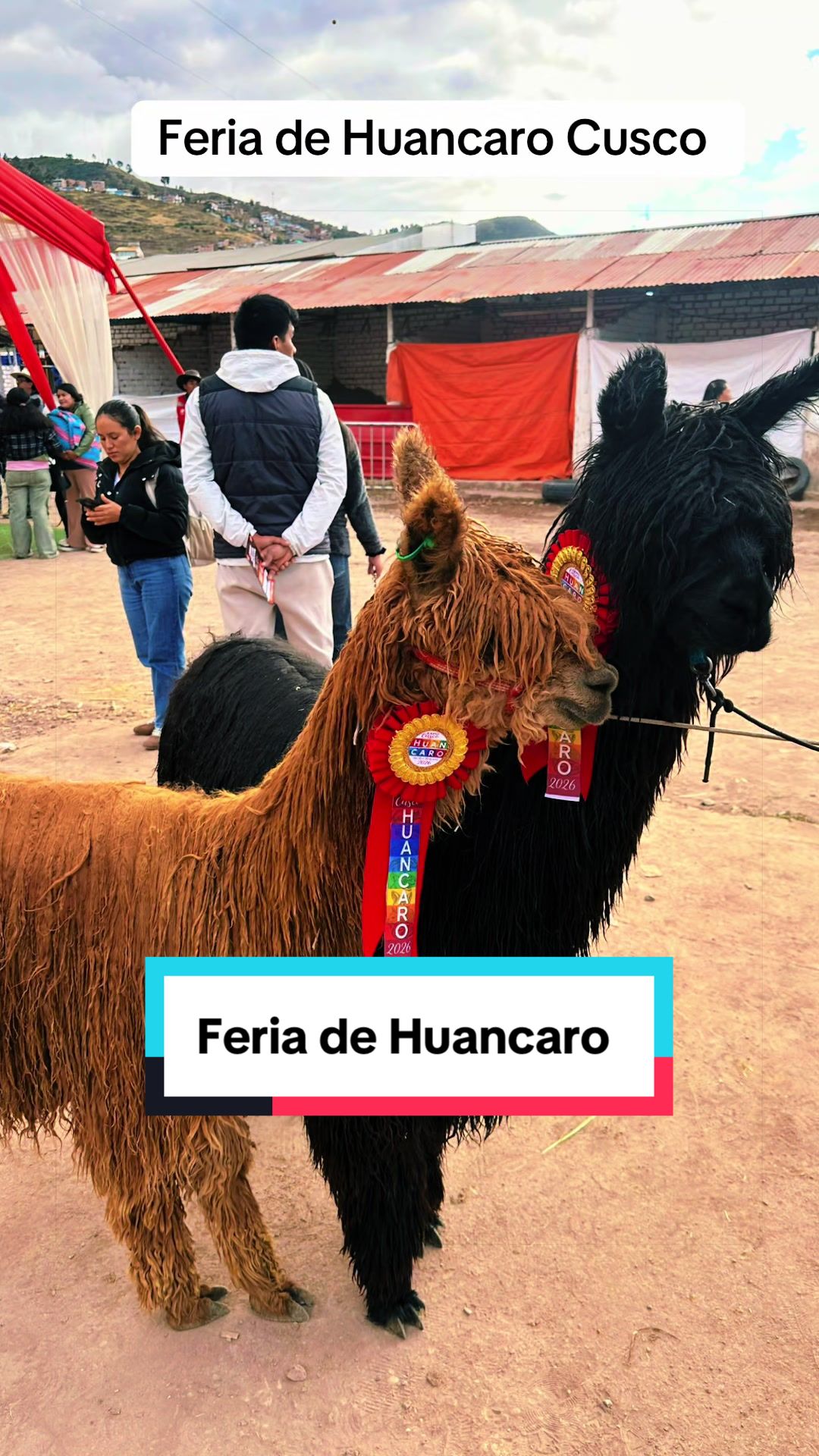 @😃VIAJERO PER&Uacute; 🇵🇪