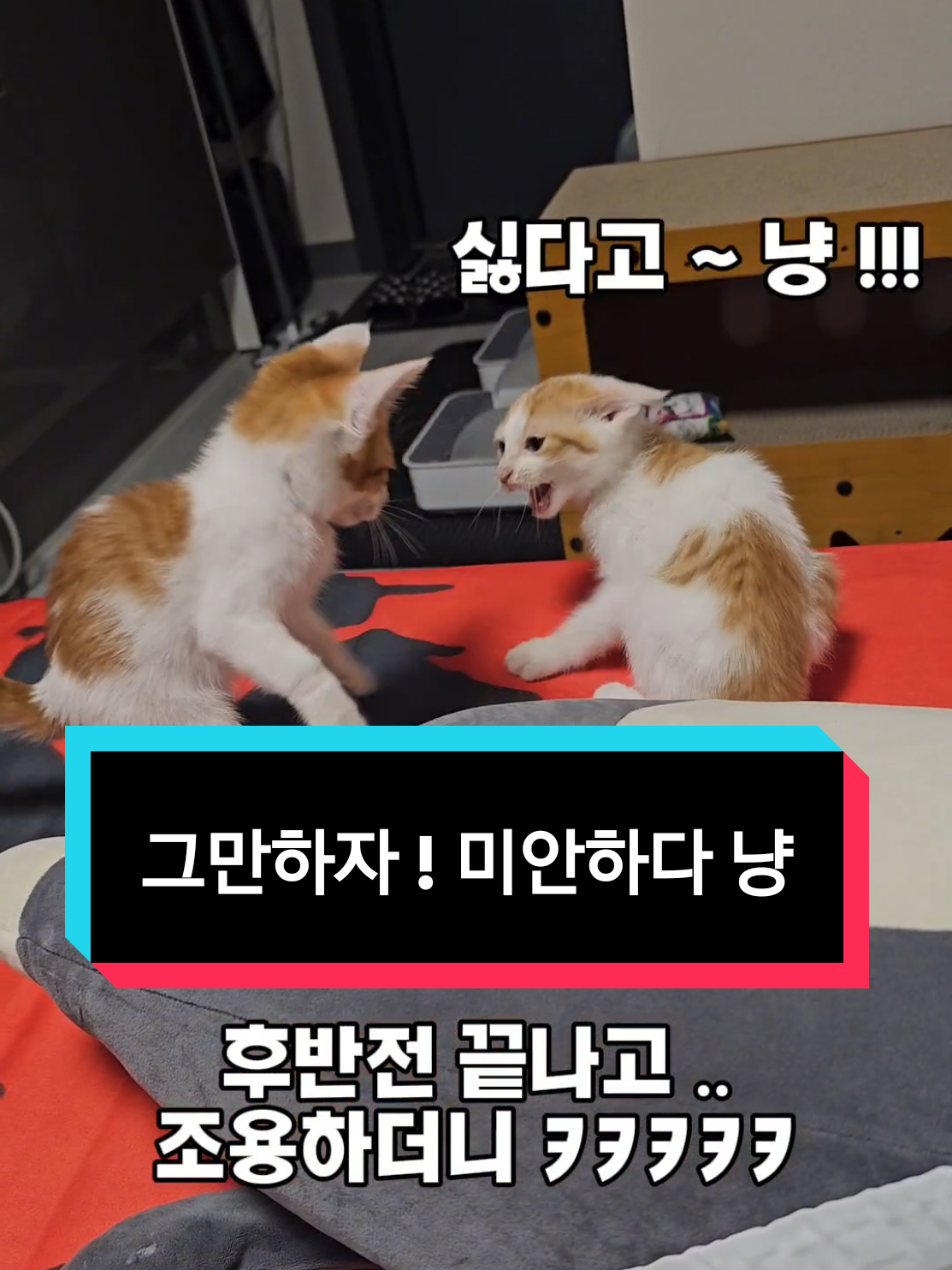 @๐ง๐น๊ผญ์ง์ ํธํ๋๐ชถ๐ง