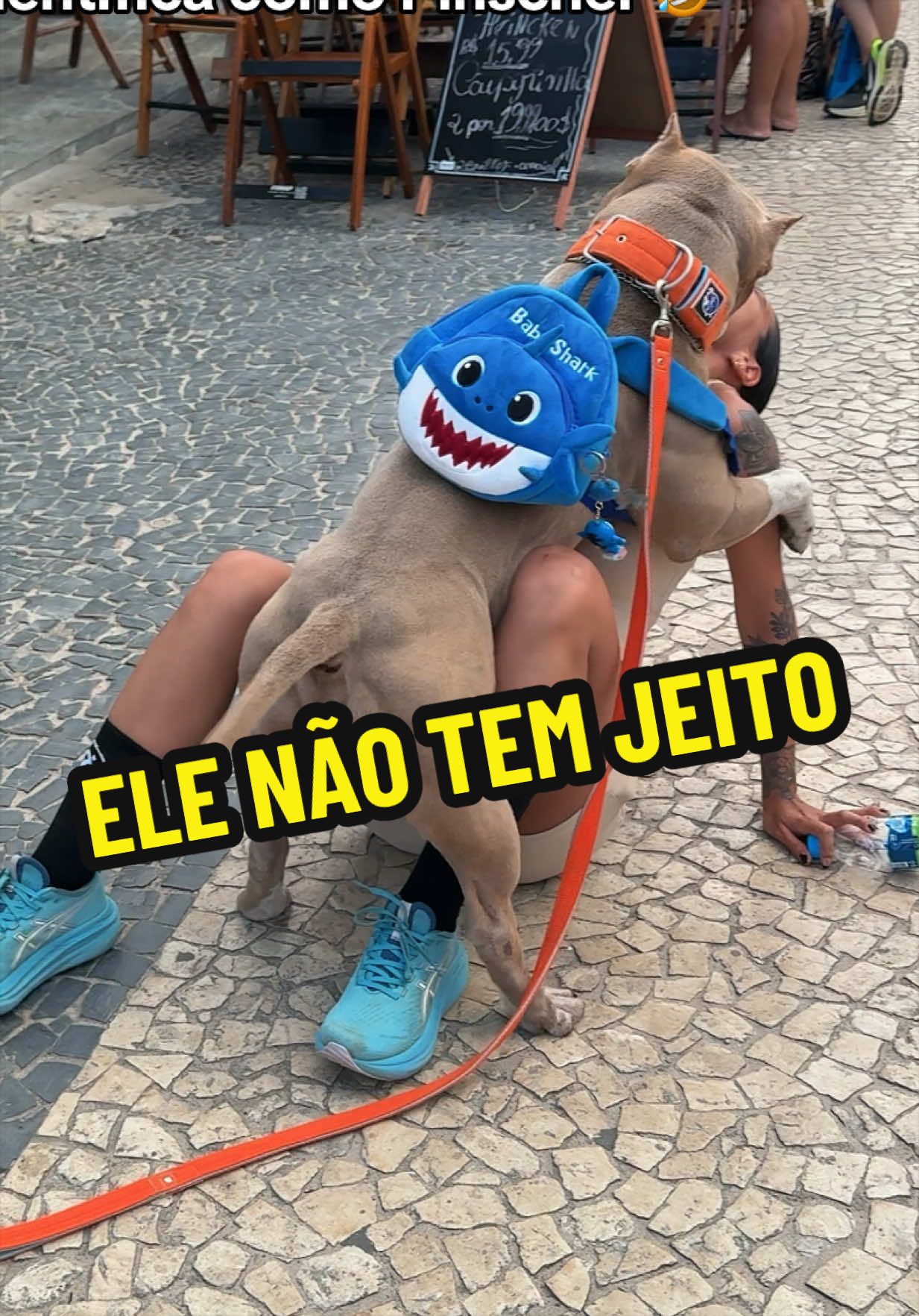 @Família Ragnar 🐶