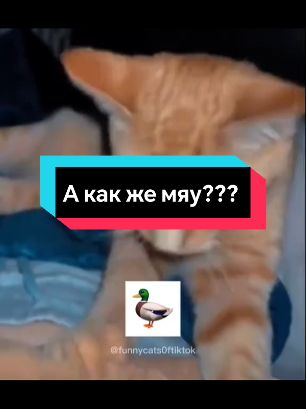 @☞_P_u_t_n_i_k_☜