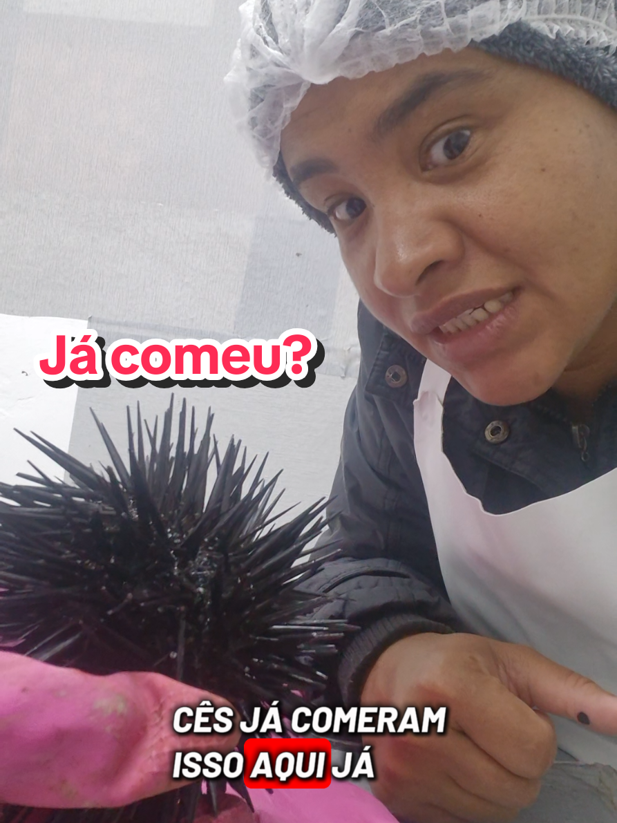 @Priscila | Do caos ao litoral