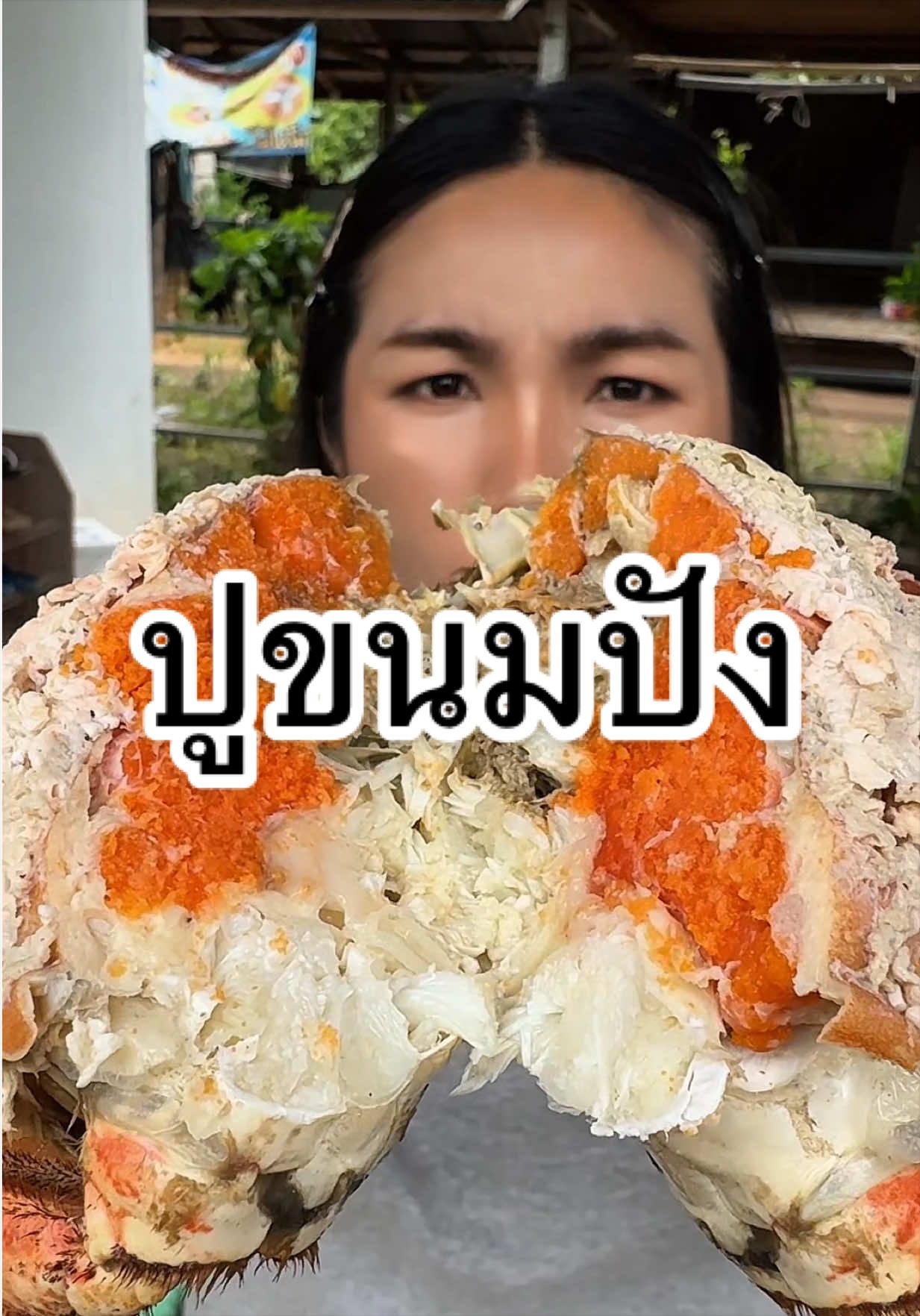 @ทิวลิป กัญญาภัค