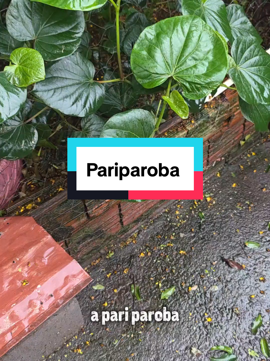 @Dicas e Receitas Naturais