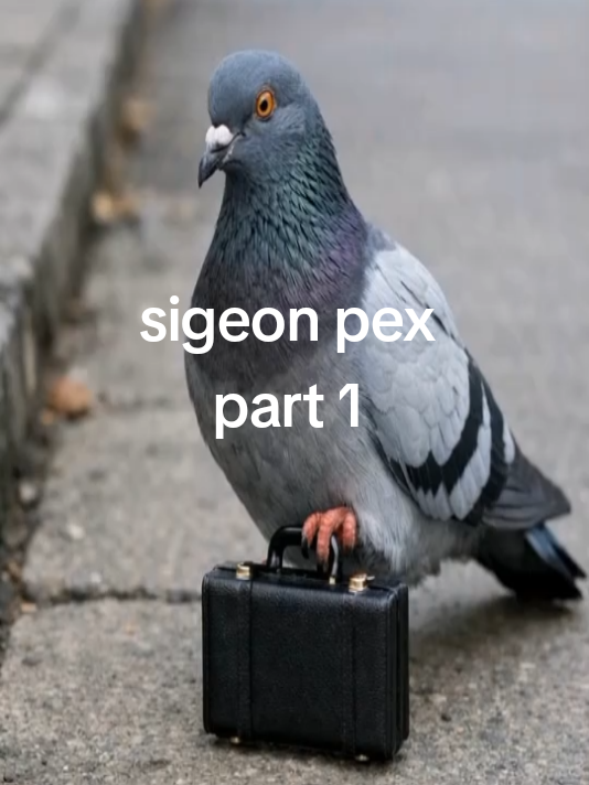 @sigeonpex07